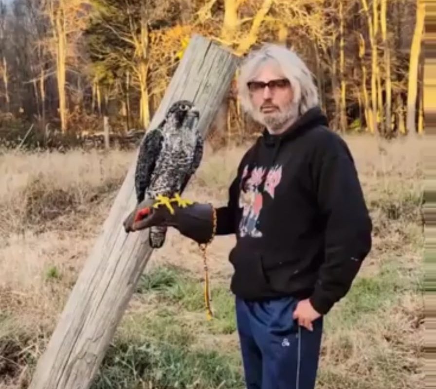 Want to see my eagle ?