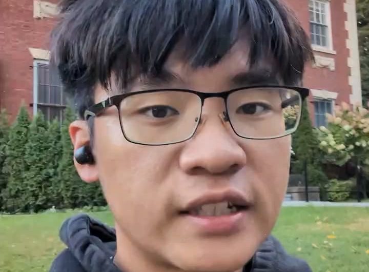 Wasps Attack Darker Faces