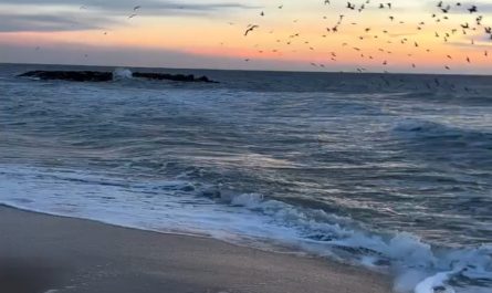 Watch the waves roll in