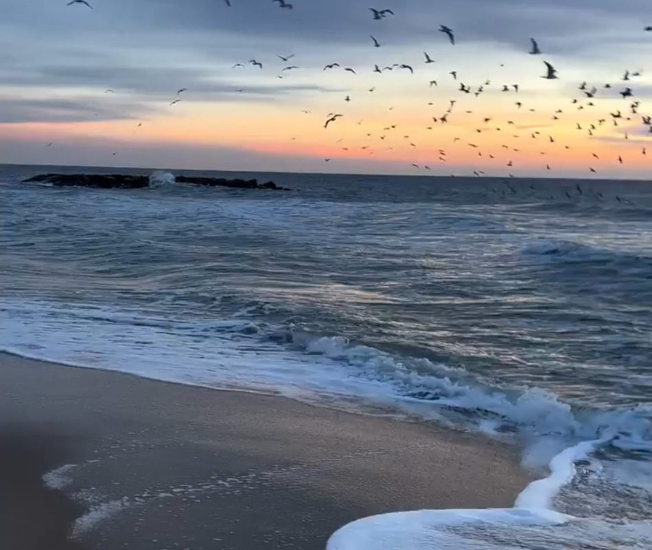 Watch the waves roll in