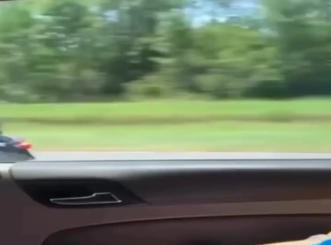 We live in this guy's world