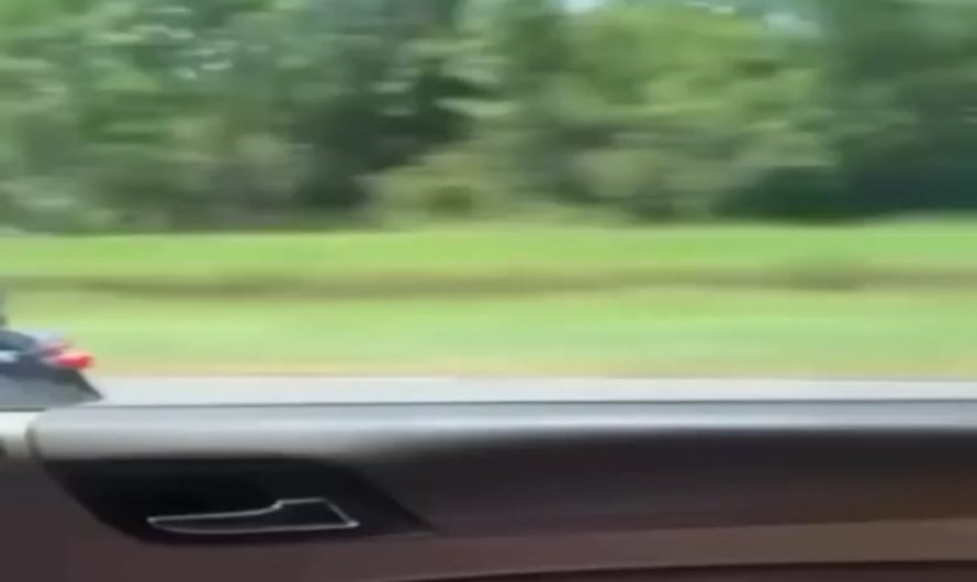 We live in this guy’s world