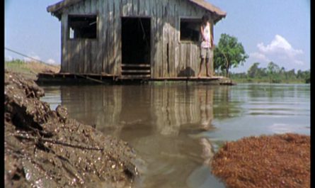 When a flood occurs, tens of thousands of fire ants come together and tangle together to form a body that floats on water.