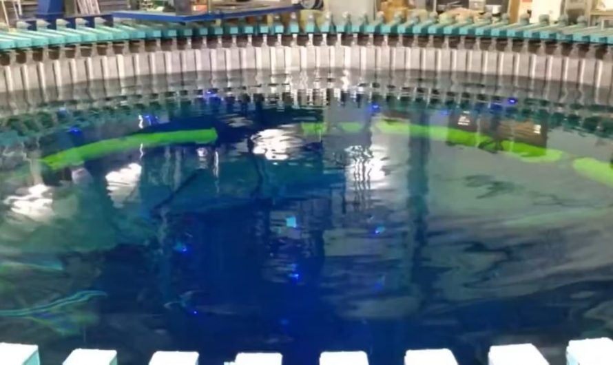 When a shallow pool is vibrated just right, the surface blossoms into mesmerizing Faraday waves