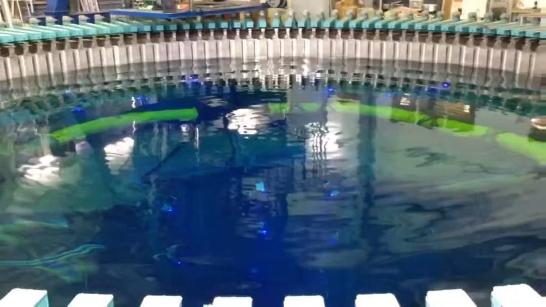When a shallow pool is vibrated just right, the surface blossoms into mesmerizing Faraday waves