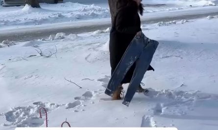 When it’s -11 degrees in Chicago