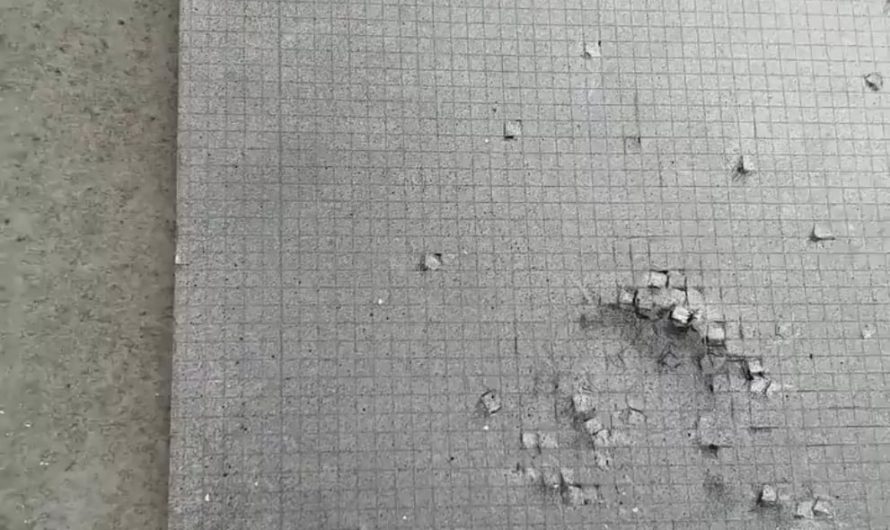 When you put grid paper in front of an artist