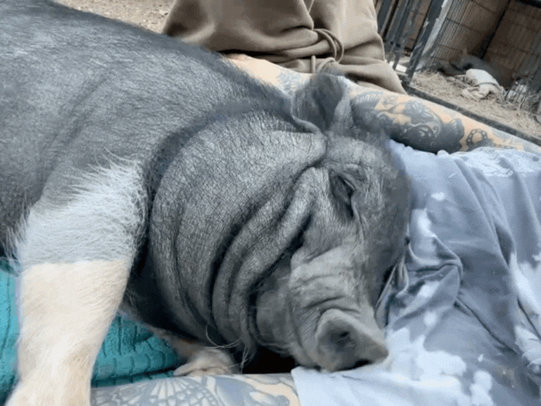 You can tell from the smile that she is very happy with the snuggles