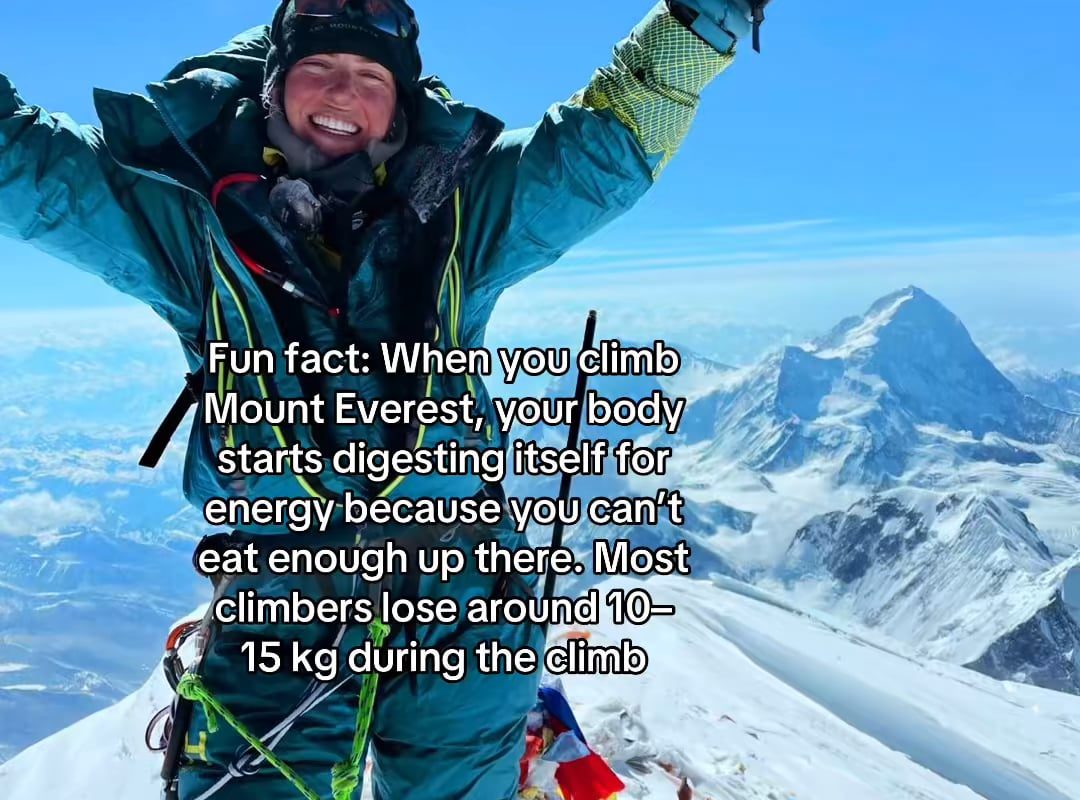 You lose 10-15kg whilst you climb Mount Everest