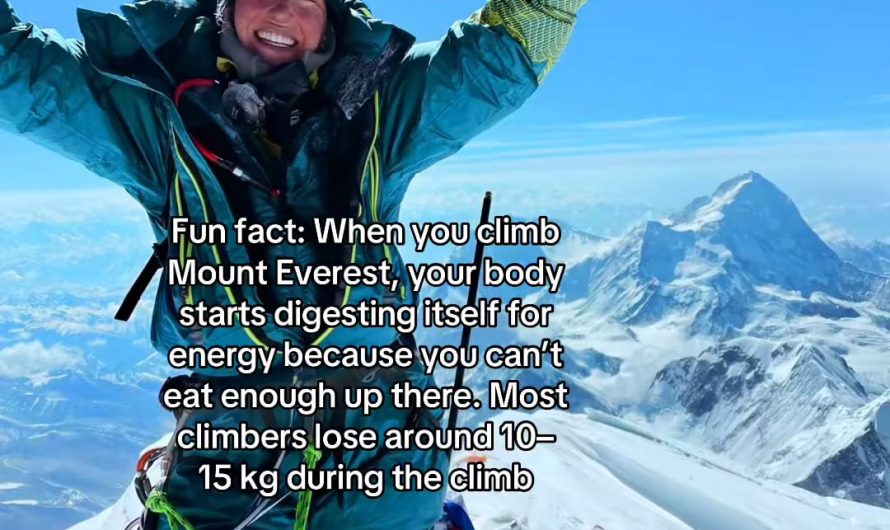 You lose 10-15kg whilst you climb Mount Everest
