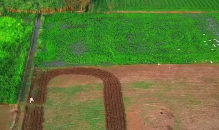 plowing land with agricultural machinery