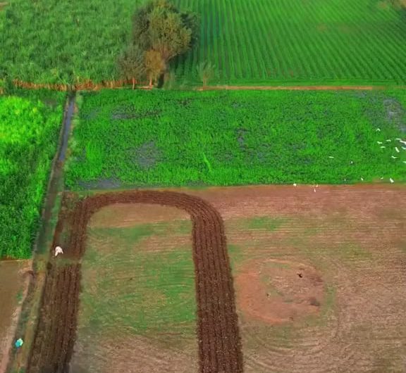 plowing land with agricultural machinery