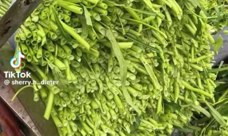 satisfying cuts (sound recommended)