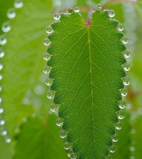 symmetrical water bubbles