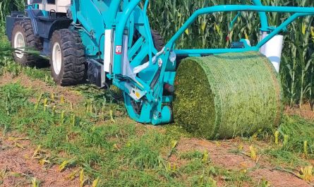 wrapping chopped grass into a big plastic bale