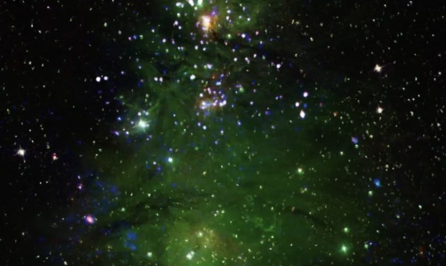 ‘Christmas Tree Cluster’