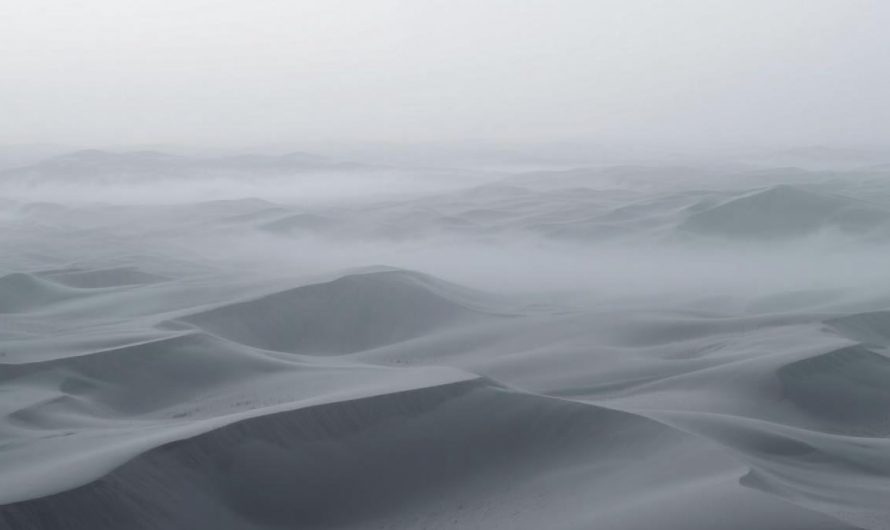 嬴政百年之约为何提前解约