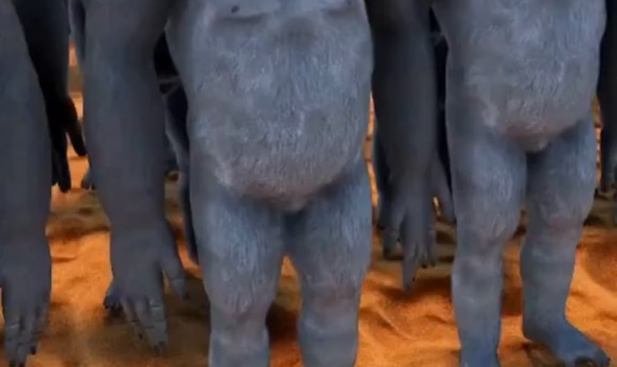 10,000 Gorillas Vs 1,000,000 men. Epic simulation.