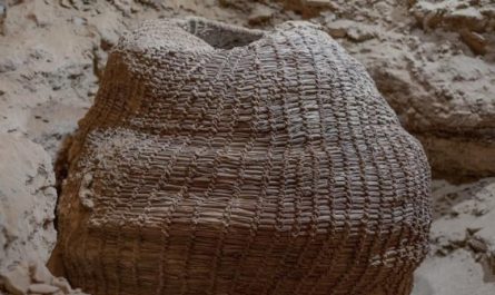 10,500 years old woven basket found in the Cave of Horrors, near the Dead Sea. It's the oldest intact woven basket ever found in the world.