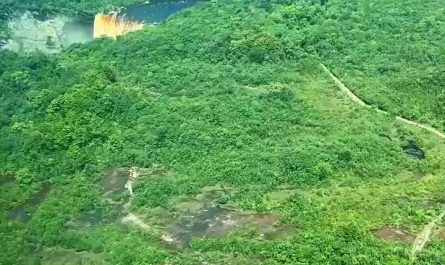 Deep in the Amazon forest, is the world's largest single drop waterfall, Guyana