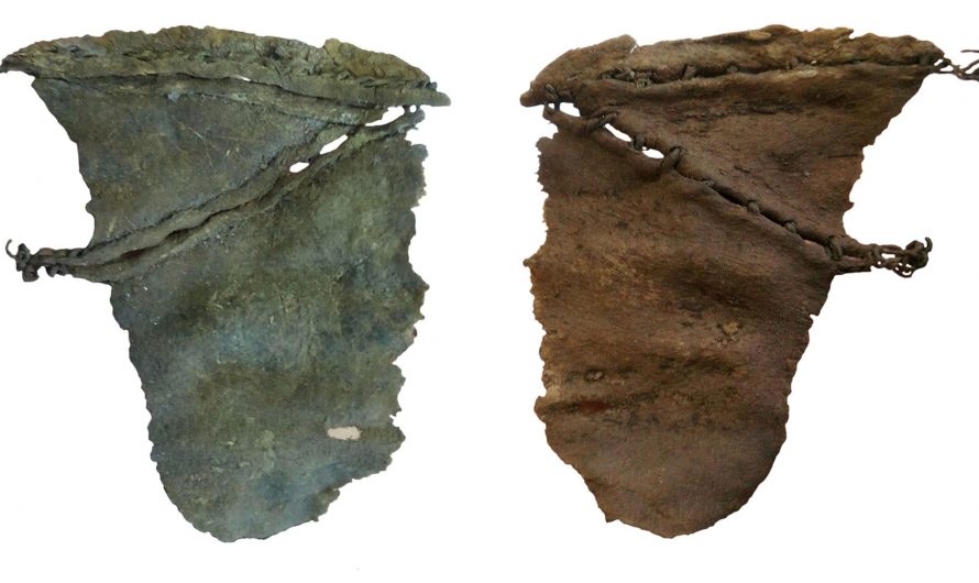 2400 year old Scythian leather made of human skin confirming what was for centuries thought to be an exaggeration from Greek historian Herodotus.