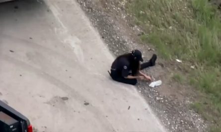 $800,000 worth of dimes shut down a busy roadway for hours after a semi overturned.