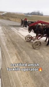 A 2 DP (dockey power) forklift