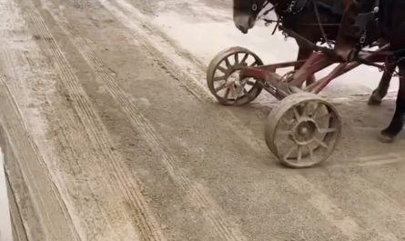 A 2 DP (dockey power) forklift