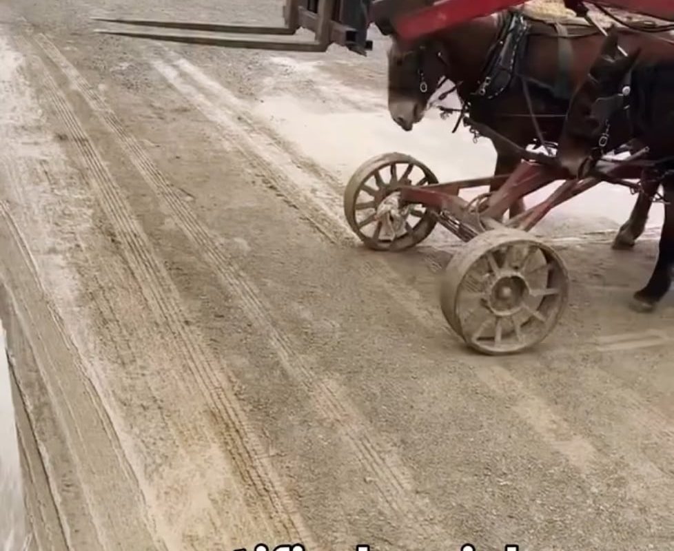 A 2 DP (dockey power) forklift