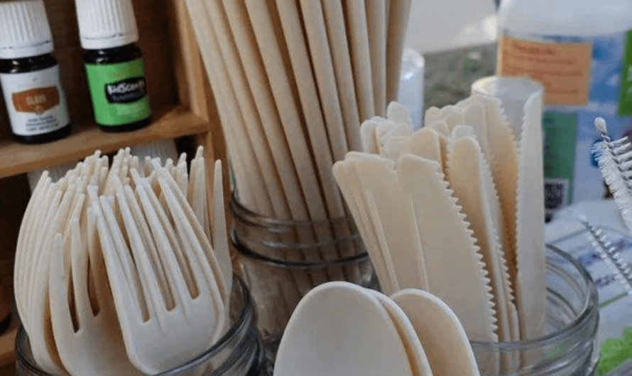 A Mexican company turns avocado seeds into fully biodegradable cutlery and straws in 240 days