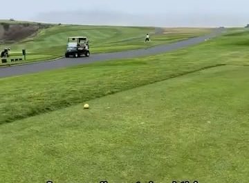 A Seagull Just Pulled Off the Cleanest Theft on the Course