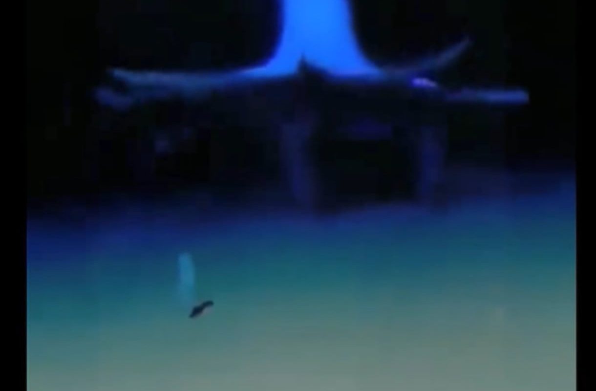 A Vampire Squid Glides Across The Ocean Floor Like A Ghostly Shadow