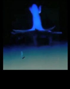 A Vampire Squid Glides Across The Ocean Floor Like A Ghostly Shadow