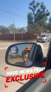 A crossing guard blocks the way of an aggressive driver while children and their parents are crossing the street