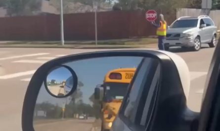 A crossing guard blocks the way of an aggressive driver while children and their parents are crossing the street