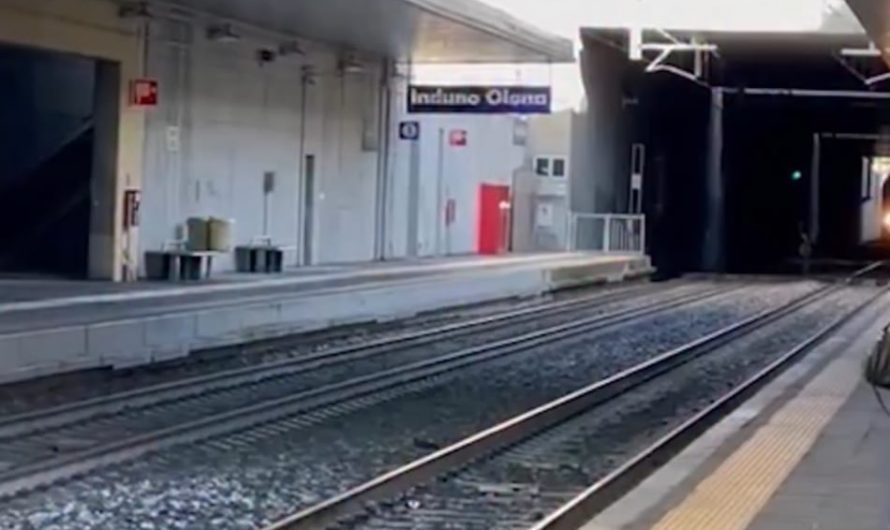 A deer scampered on the tracks in the Varese area, Italy.