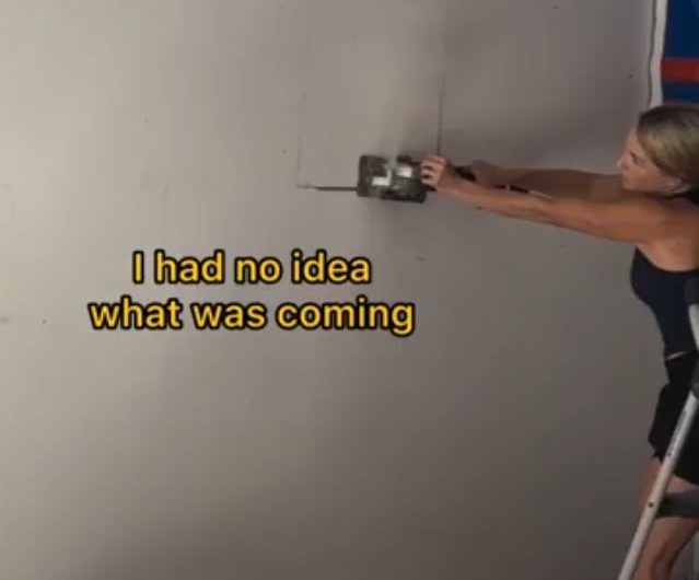 A fully intact beehive measuring about 6 feet was found.