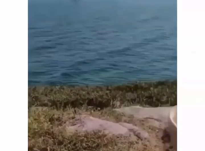 A helicopter pilot decided to pose for a photo with a random guy.