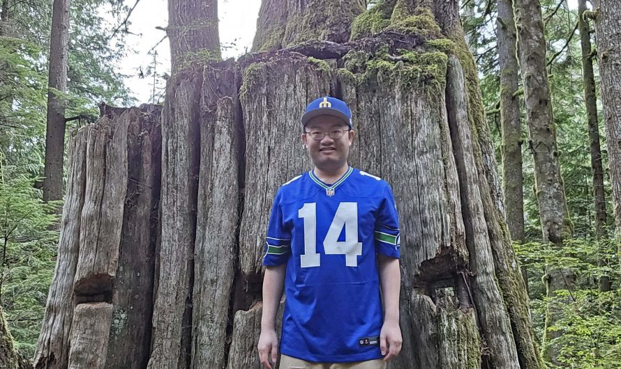 A large old growth tree stump with full grown trees growing on top of it
