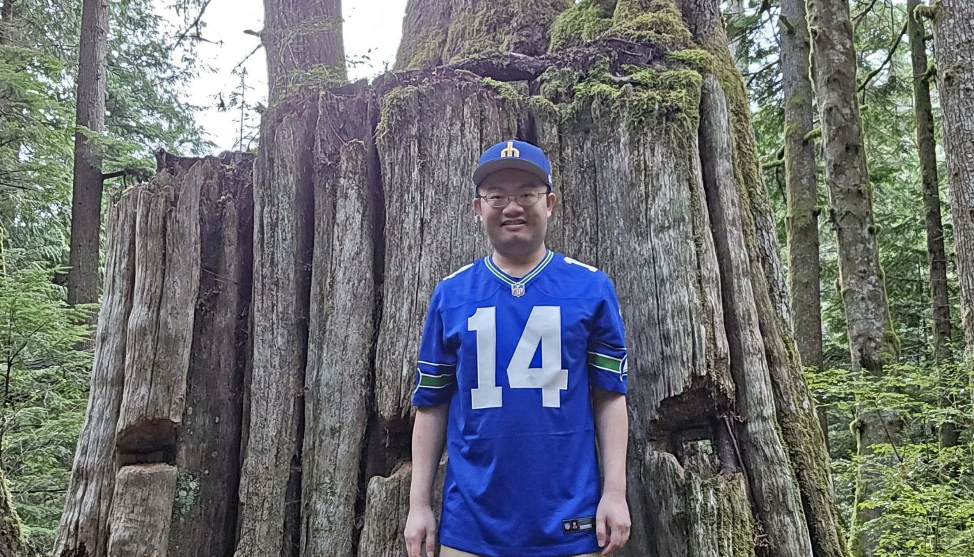 A large old growth tree stump with multiple trees growing on top of it