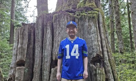 A large old growth tree stump with multiple trees growing on top of it