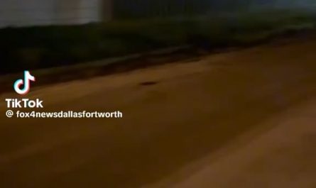 A man rescues a special needs foster child from his neighbors house, who is keeping them outside in a dog kennel.