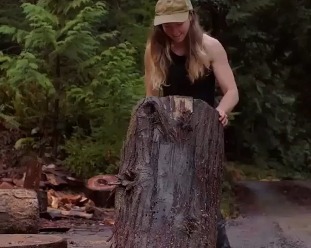 A massive log split perfectly