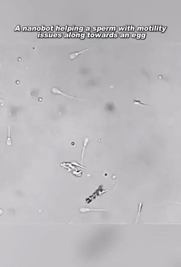 A microscopic nanobot that guiding a single sperm cell toward an egg