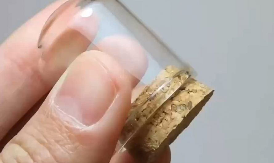 A miniature hobbit house made with polymer clay