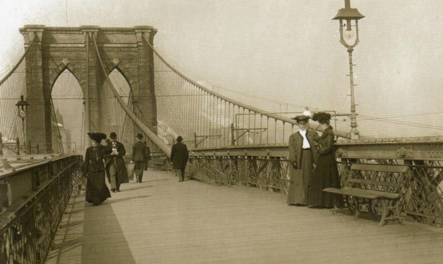 A month before the Brooklyn Bridge officially opened in 1883, a gray stray cat named Ned became the first cat to cross it. A worker carried him to the center and released him. Ned walked to Manhattan on his own and was christened ‘Ned of the Bridge’ at a saloon.