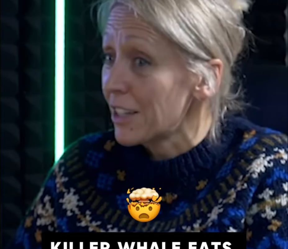 A researcher explains how her team accidentally tracked a killer whale for 11 days