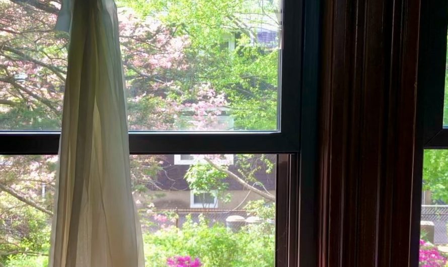 A soft breeze through an open window