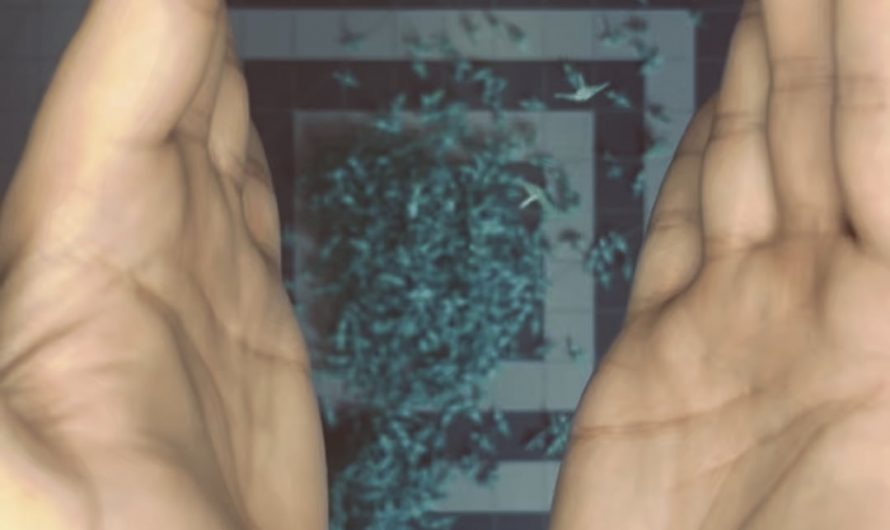 A thousand miniature cranes flock together.