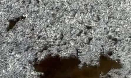 A video for water turing into ice in real time